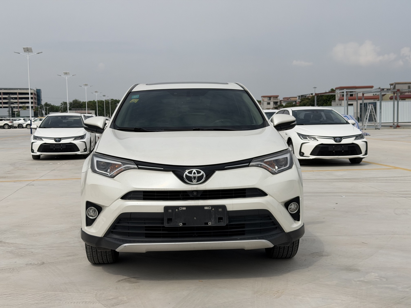 Cars & SUVs